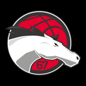 Leicester Riders WBBL